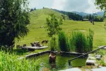 Landschaft mit Grünflächen und einem kleinen Teich.