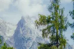 Schneebedeckte Berge mit grünen Bäumen im Vordergrund