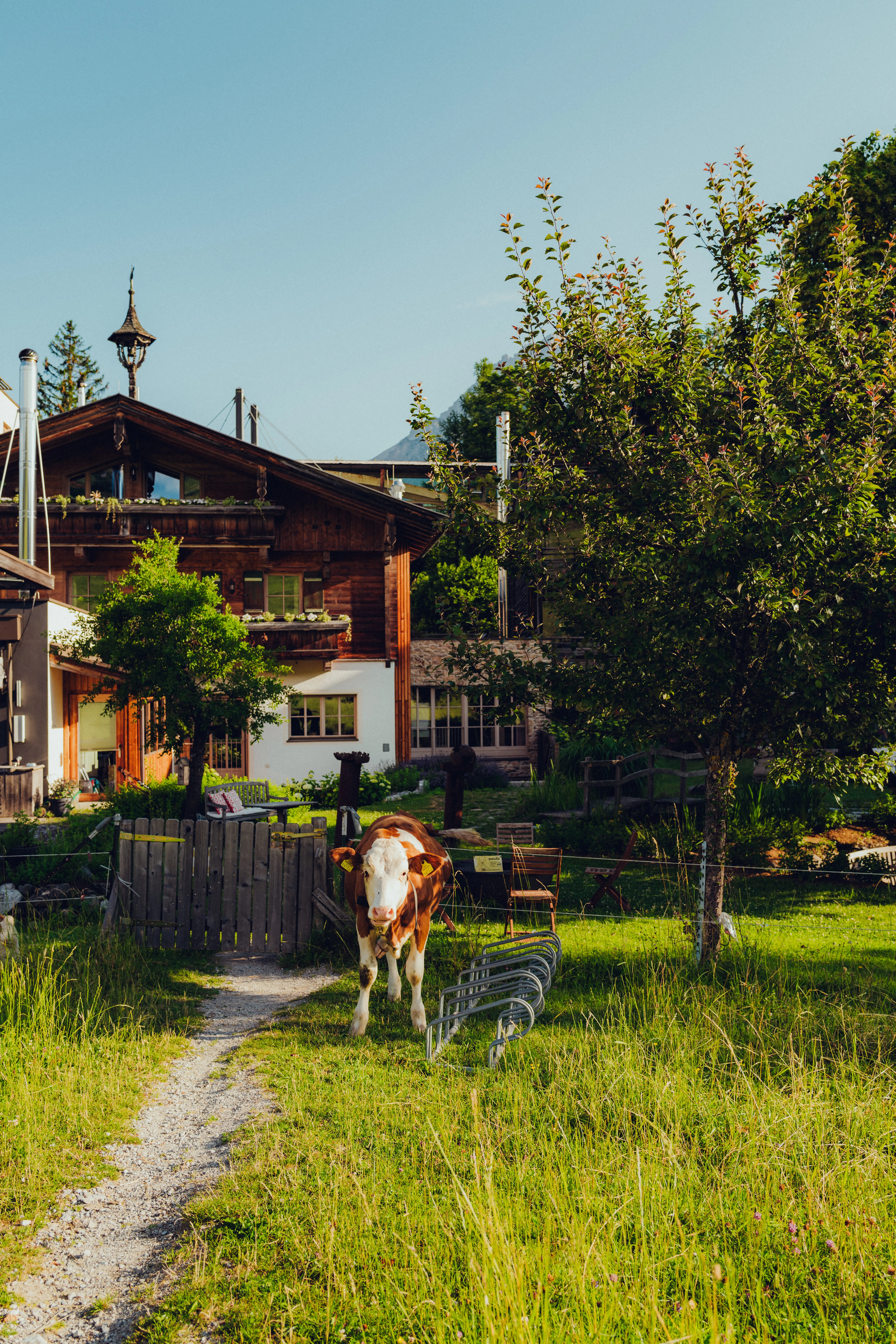 Landschaft mit einer Kuh und einem Bauernhof.